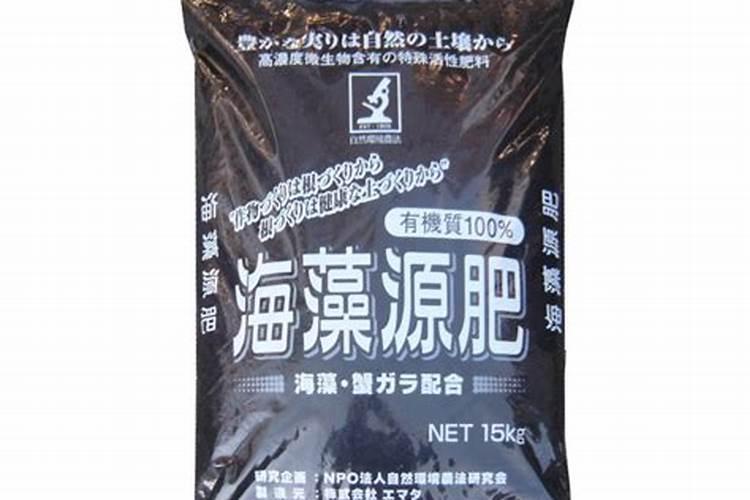 种植玉米时,用什么农药拌种,可以防止害虫啃咬种子？