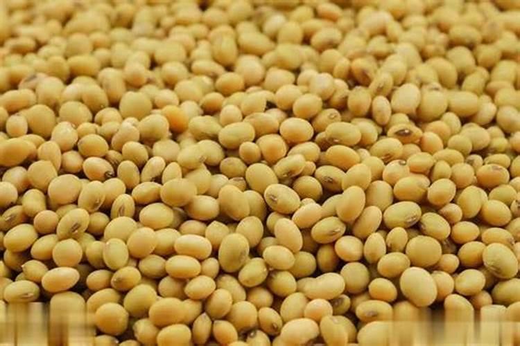 钼可以促进大豆根系的发育,大豆怎么施用钼肥？