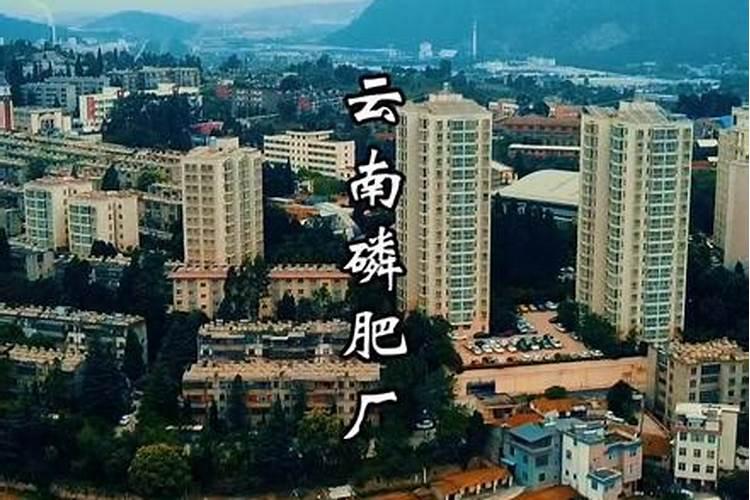 云南水泥厂目录