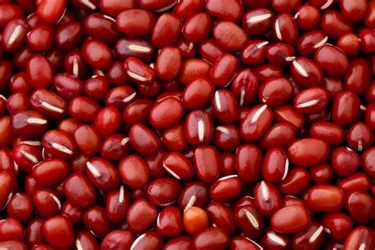 三元复合肥适合哪些花