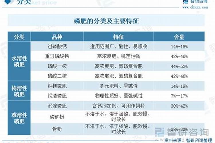 兰花如何施催芽肥可以长出更多的新芽壮芽