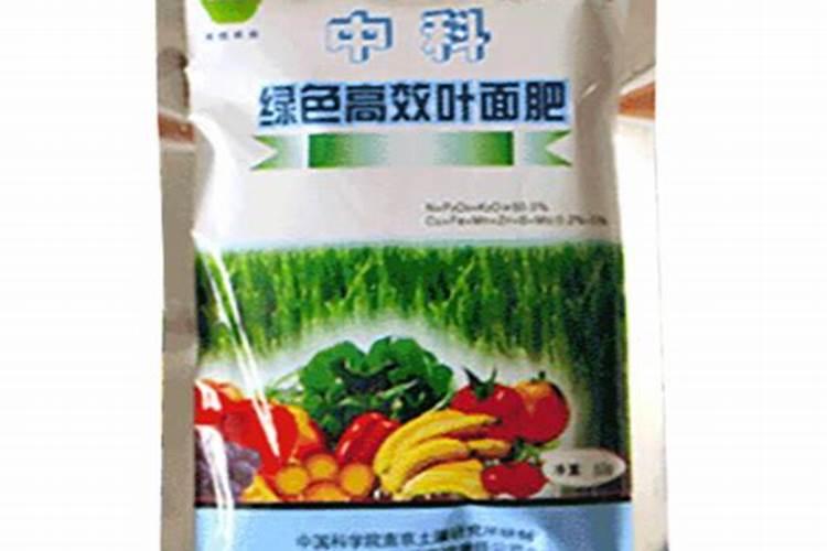 葡萄开花时叶子不大施什么肥？