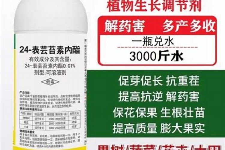 保花保果用什么药