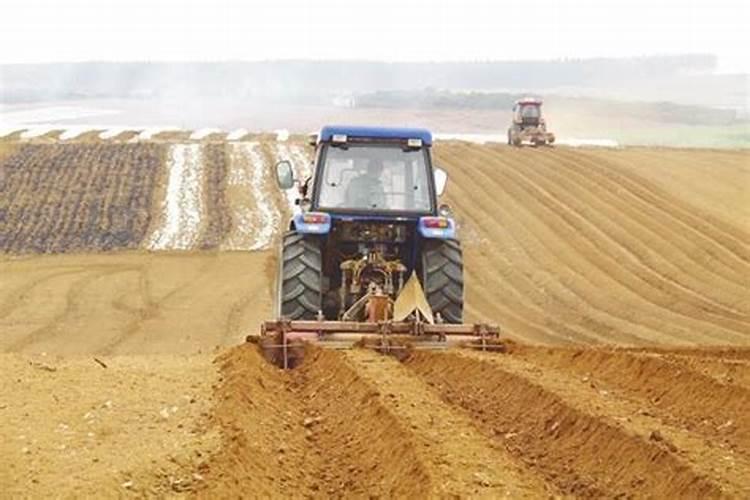 小麦什么时候追肥是最佳时期