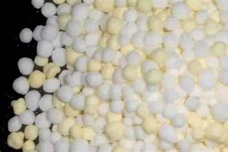 秋黄瓜施肥方法与浇水技巧