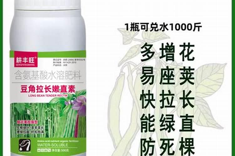 豆角施肥时间及方法