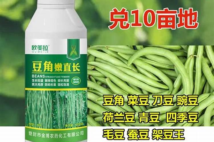 豆角什么时候追肥