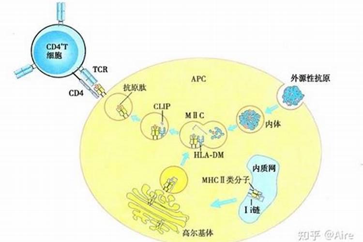 宁夏 哪些公司会脱硫生产副产硫酸铵