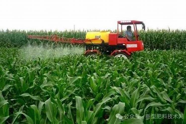 用中水浇菜行吗