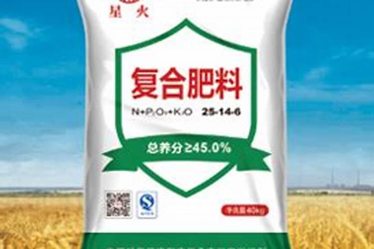 布兰特是哪国球员