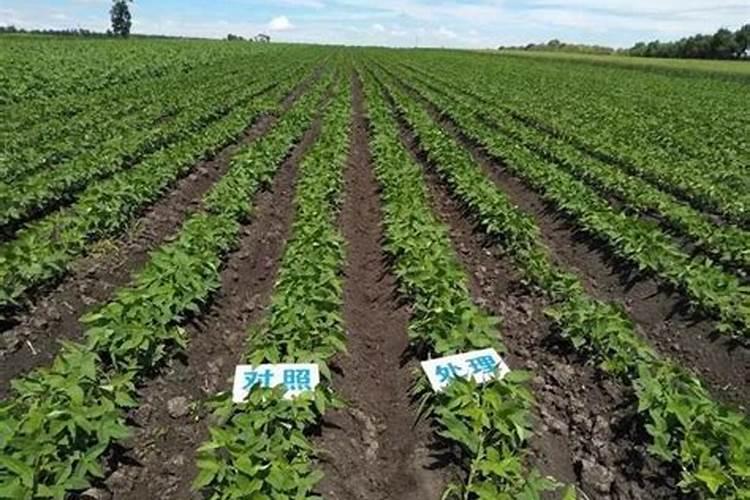 钾肥的正确使用方法