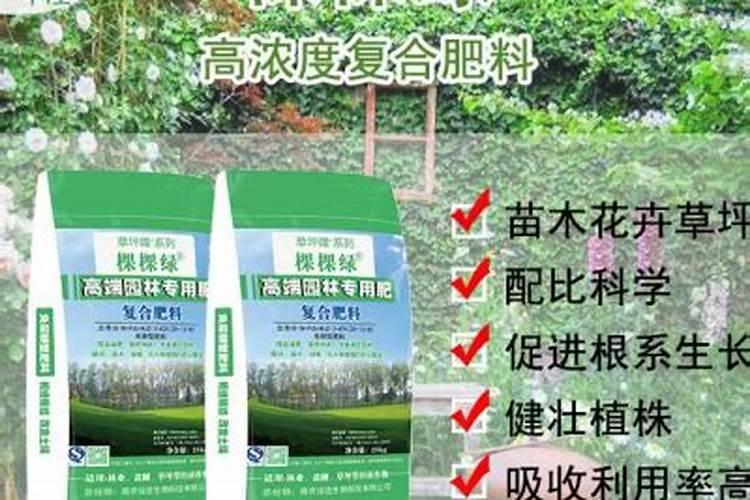 种植大姜需要投资多少