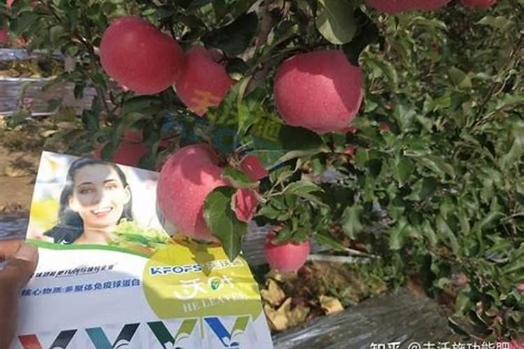 草木灰有哪些使用方法 为速效性钾肥