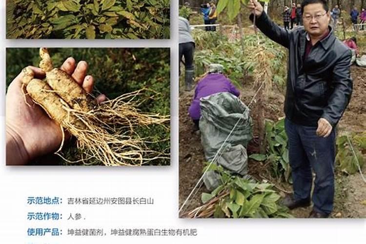 白术用中量元素水溶肥料吗