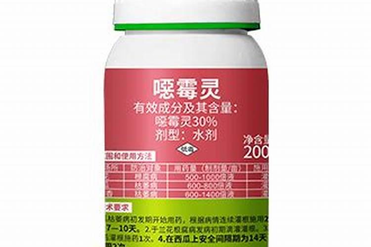 土豆什么时候种