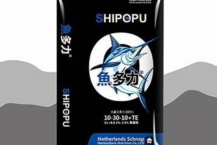 常吃的海鱼有哪些