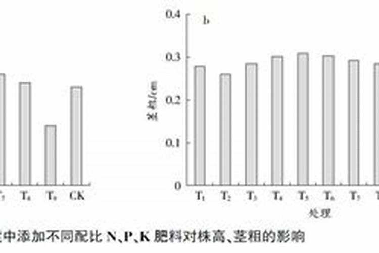 种石斛需什么肥料？施肥方法