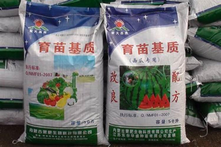 玉树培植新苗的方法