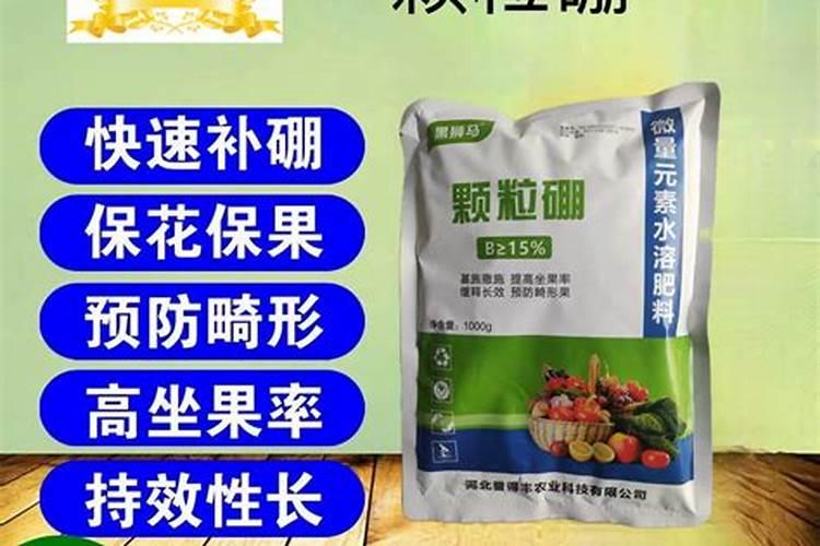 桔子开花为什么挂不住果