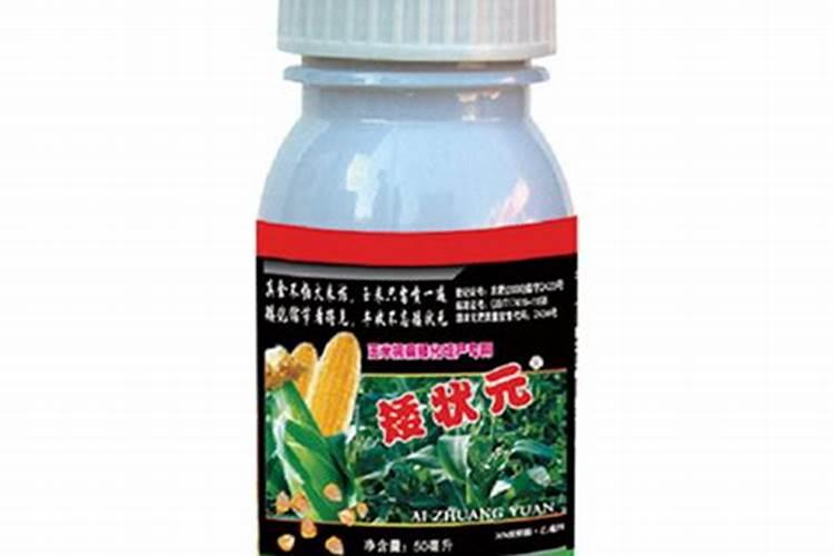 玉米矮化药打完下雨有效果吗,可以和叶面肥同时使用吗