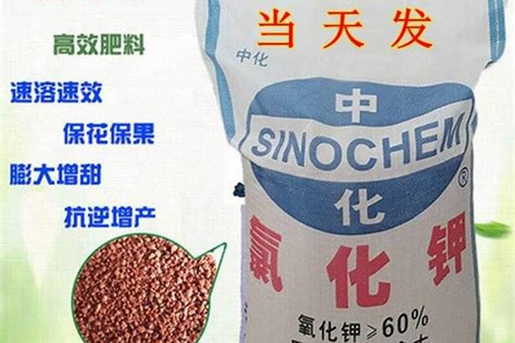 玫瑰浇什么肥料合适