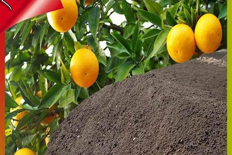 中国钾肥进口策略