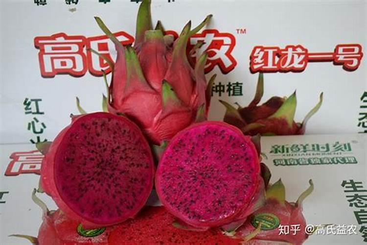 西葫芦的种植具体方法有哪些