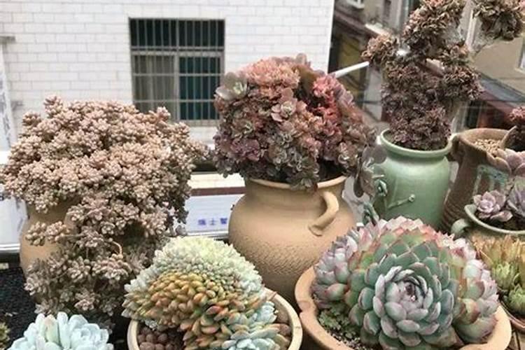 复合肥,氮肥,磷肥,钾肥有什么区别