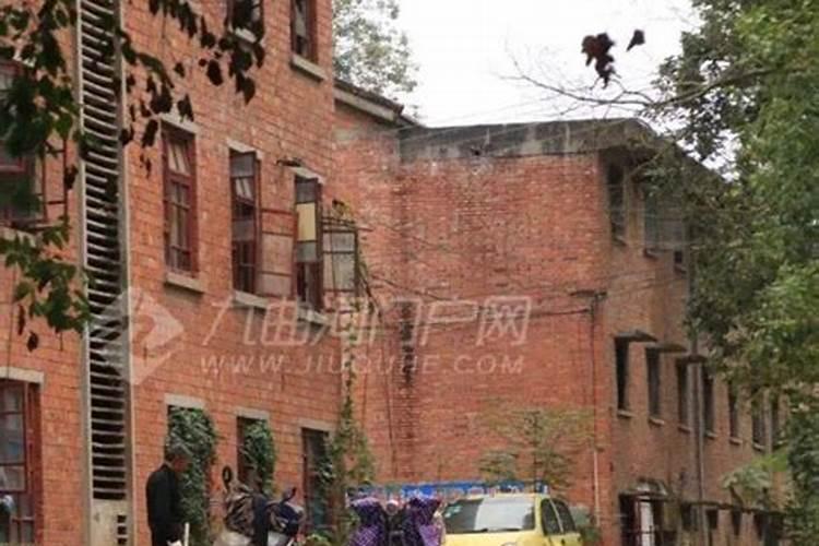 鱼蛋白放多了会烧根吗