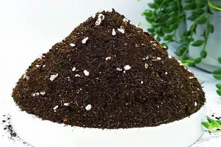 其乐气垫王搭配什么裤子