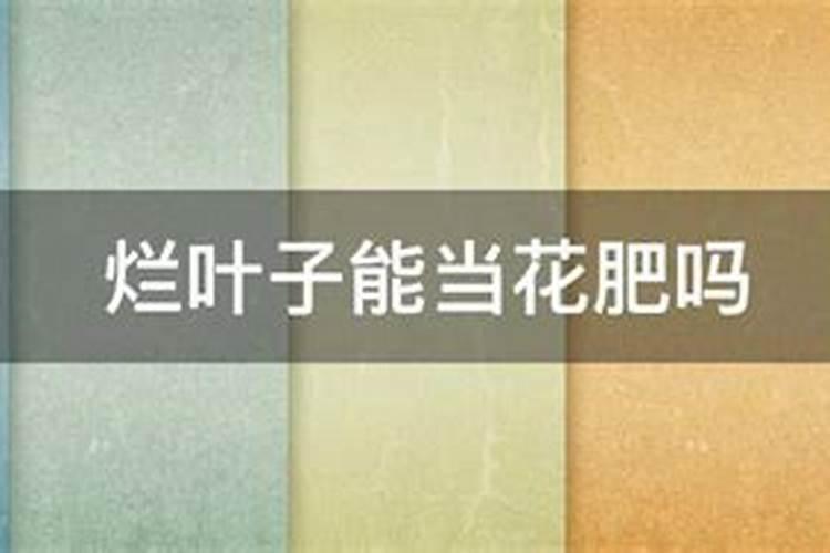 叶子如何当肥料