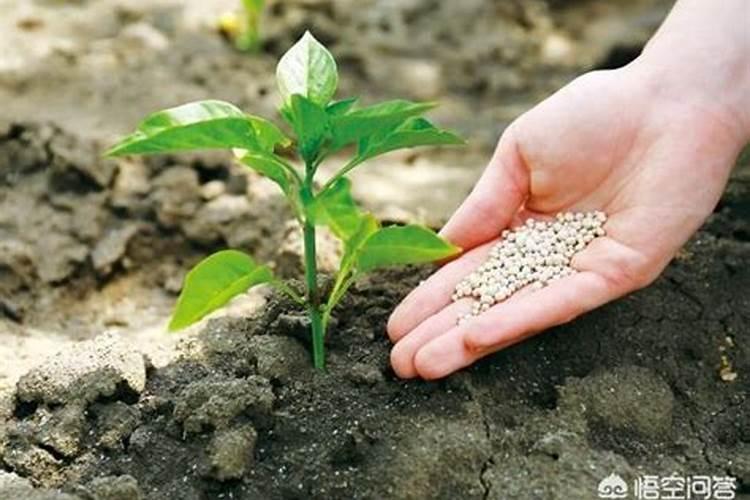 复合肥可以兑水喷叶子吗