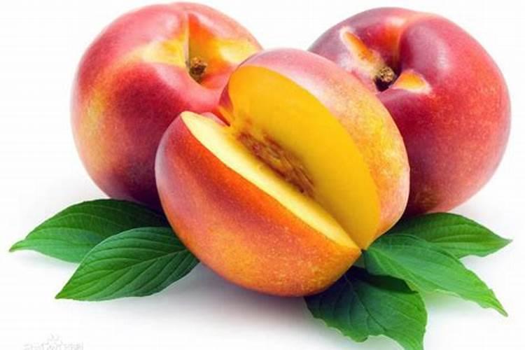 全球十大胶原蛋白排行 胶原蛋白前10品牌排名