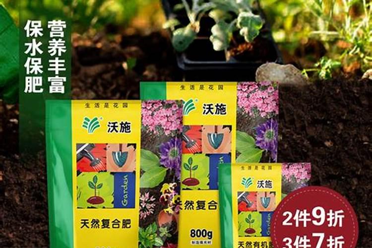 多肉开花了怎么施肥