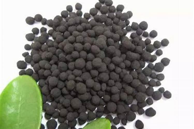 果树怎么施肥 果树如何施肥