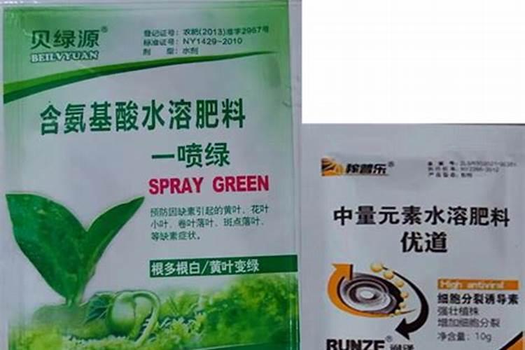 花芽分化用什么叶面肥