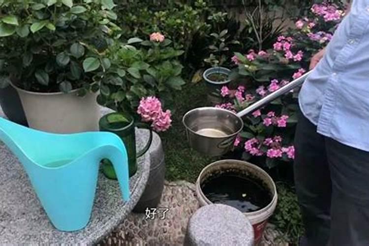 盆栽花怎样用钾肥(钾肥浇花)