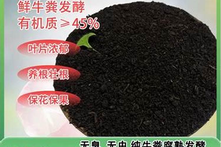 给仙人球施什么肥好 以磷钾肥为主