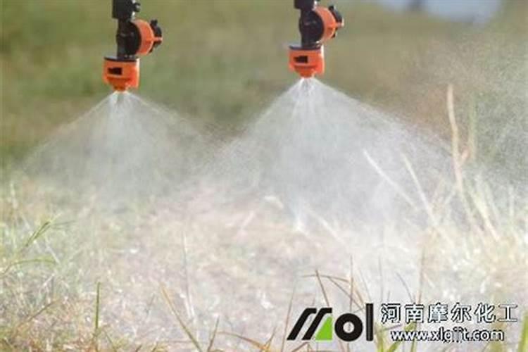 毛豆需要摘心吗