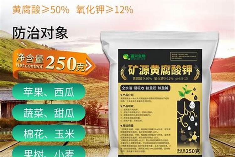 花生开花打矿源黄腐酸钾可以吗
