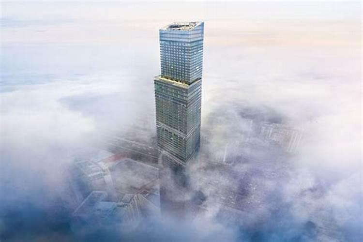 如何提高枣树坐果率 怎么施肥能高产