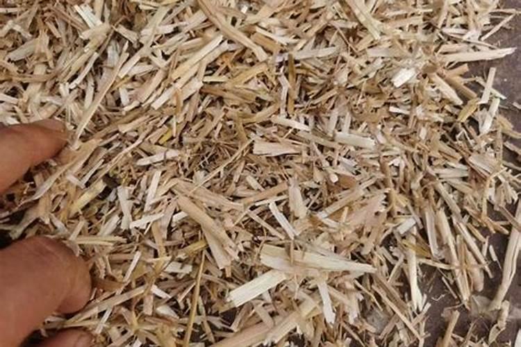 塑料小拱棚怎样建造和应用