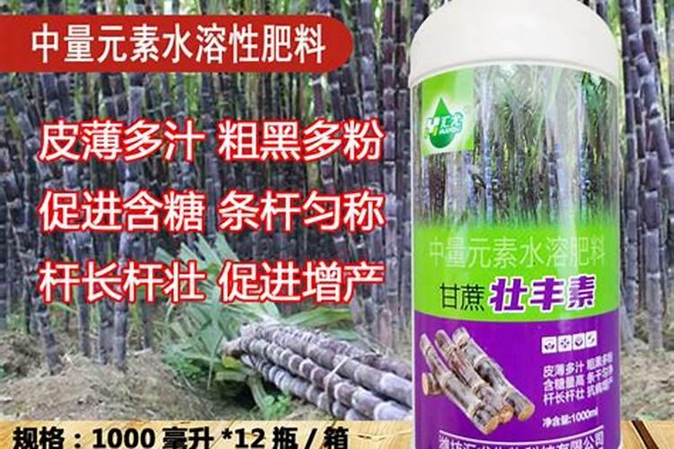甘蔗多高打920 总共打几次
