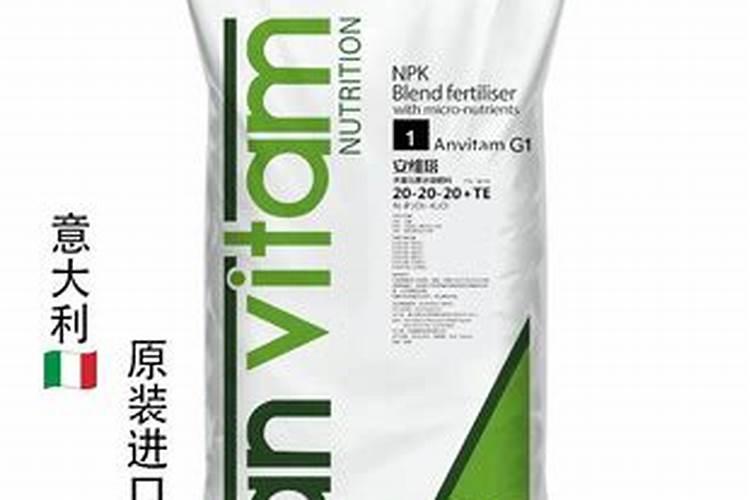 露天意大利种植技术