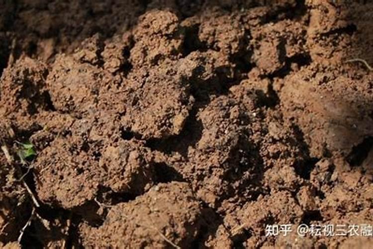 一亩烤烟用多少钾肥 什么时候施钾肥好