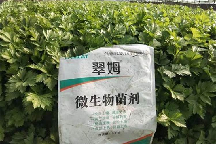 黄豆水属于磷肥还是氮肥