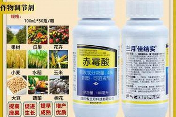荔枝保花保果农药最佳配方,什么时候打合适