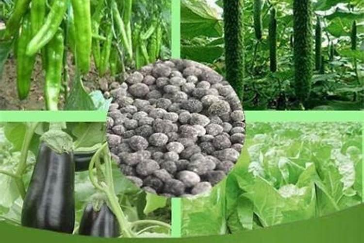 附近的有机肥生产厂家