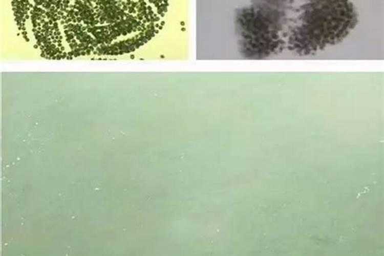 简述磷肥的使用方法