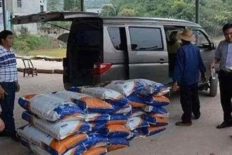 10种花现在就施肥不然今年就没花看了!